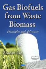 Gas Biofuels from Waste Biomass af Dr. Zhidan Liu