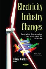 Electricity Industry Changes