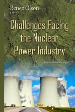 Challenges Facing the Nuclear Power Industry