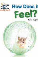 Reading Planet - How Does it Feel? - Red A: Galaxy af Simon Mugford