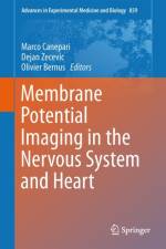 Membrane Potential Imaging in the Nervous System and Heart