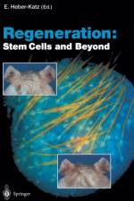 Regeneration: Stem Cells and Beyond