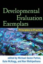 Developmental Evaluation Exemplars