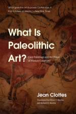 What Is Paleolithic Art? af Jean Clottes
