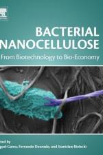 Bacterial Nanocellulose