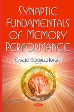 Synaptic Fundamentals of Memory Performance