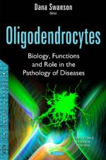 Oligodendrocytes