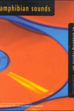 Amphibian Sounds: An Accounting Practice Set af Hema Wijewardena