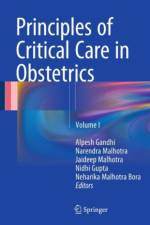 Principles of Critical Care in Obstetrics