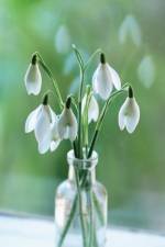 Memo Block Snowdrop af Peony Press