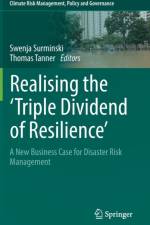 Realising the 'Triple Dividend of Resilience'