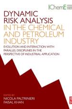 Dynamic Risk Analysis in the Chemical and Petroleum Industry