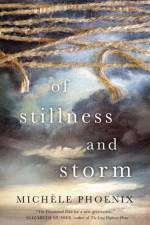 Of Stillness and Storm af Michele Phoenix