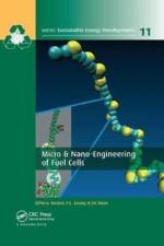 Micro & Nano-Engineering of Fuel Cells