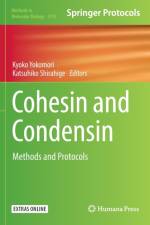 Cohesin and Condensin