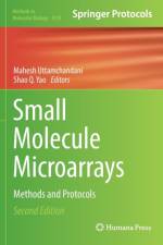 Small Molecule Microarrays