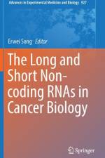 Long and Short Non-coding RNAs in Cancer Biology