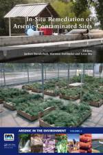 In-Situ Remediation of Arsenic-Contaminated Sites af Jochen Bundschuh