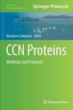 CCN Proteins