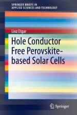 Hole Conductor Free Perovskite-based Solar Cells af Lioz Etgar