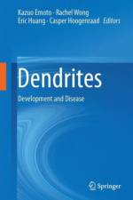 Dendrites