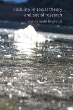 Visibility in Social Theory and Social Research af A. Mubi Brighenti