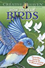 Creative Haven How to Draw Birds af Marty Noble