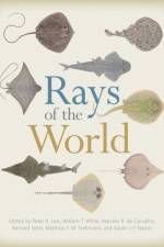 Rays of the World