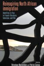 Reimagining North African Immigration