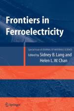 Frontiers of Ferroelectricity af Sidney B. Lang
