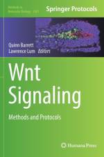Wnt Signaling