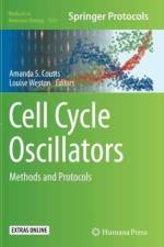 Cell Cycle Oscillators
