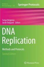 DNA Replication