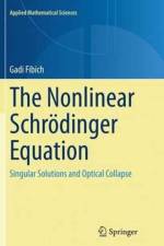 Nonlinear Schroedinger Equation af Gadi Fibich