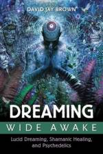 Dreaming Wide Awake af David Jay Brown