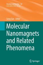 Molecular Nanomagnets and Related Phenomena