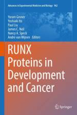 RUNX Proteins in Development and Cancer
