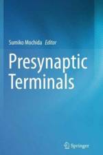 Presynaptic Terminals