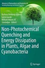 Non-Photochemical Quenching and Energy Dissipation in Plants, Algae and Cyanobacteria