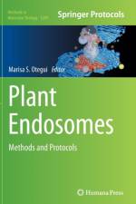 Plant Endosomes