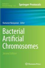 Bacterial Artificial Chromosomes