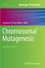 Chromosomal Mutagenesis