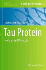 Tau Protein