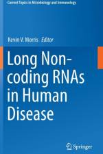 Long Non-coding RNAs in Human Disease