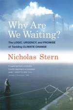 Why Are We Waiting? af Nicholas (Lord Stern of Brentford Stern