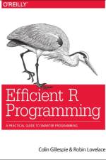 Efficient R Programming