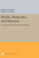 Molds, Molecules, and Metazoa