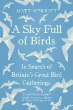 A Sky Full of Birds af Matt Merritt