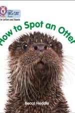 How to Spot an Otter