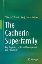 Cadherin Superfamily